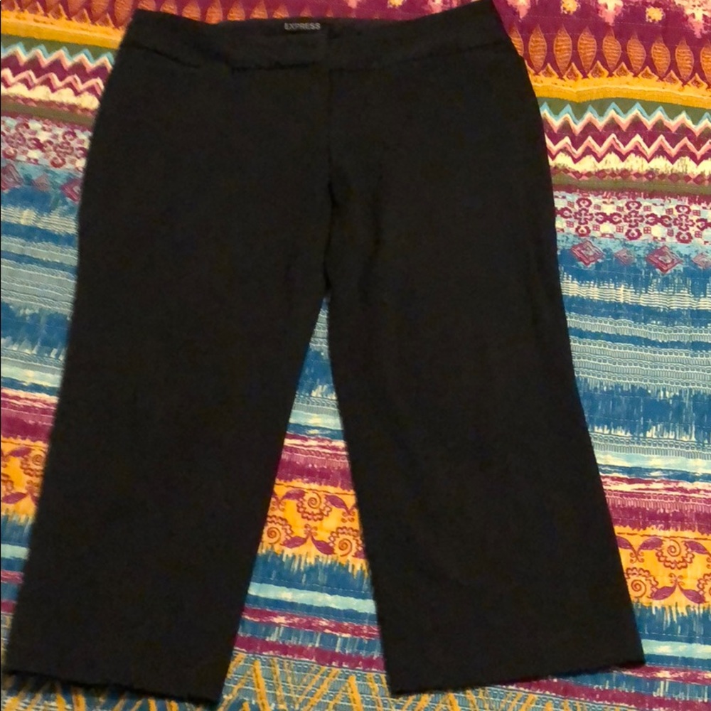 Ankle Length EXPRESS Dress Pants